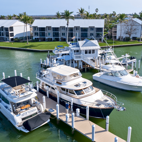 Boats docked at the South Seas marina with condos and palm trees in the background