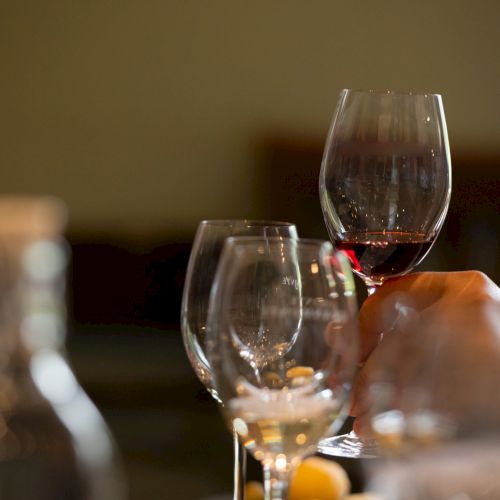 Wine glasses on a table in a restaurant, shallow depth of field