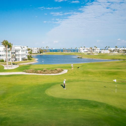 Golfers on a scenic course with water views and palm trees