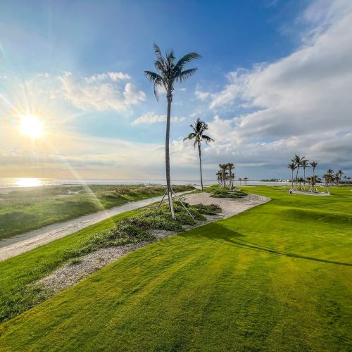 Palm lined golf course with ocean views at sunset