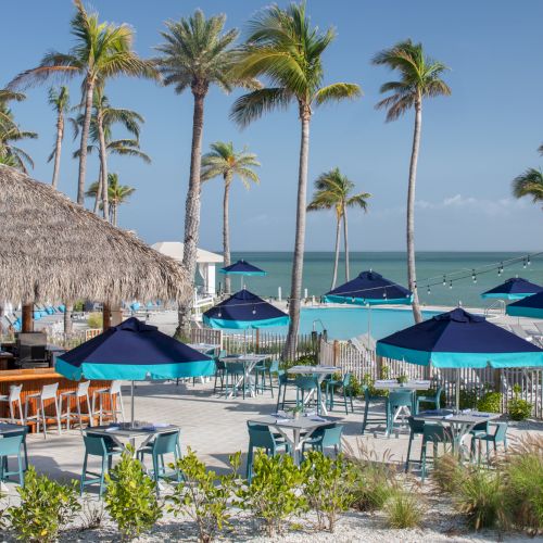 Overview of the Tarpon Bar at South Seas