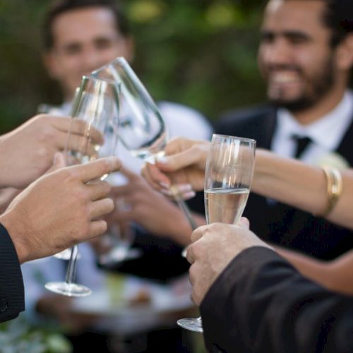 Guests toasting glasses of champagne in park