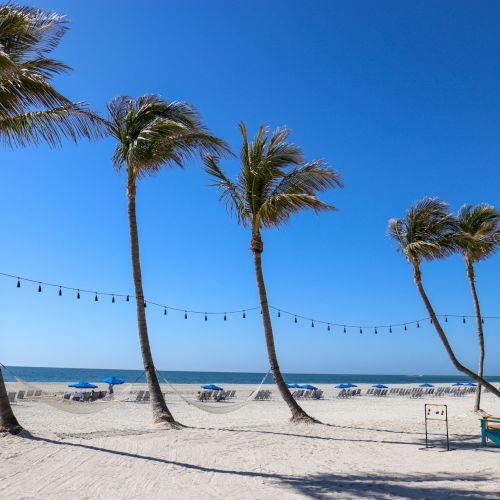 South Seas