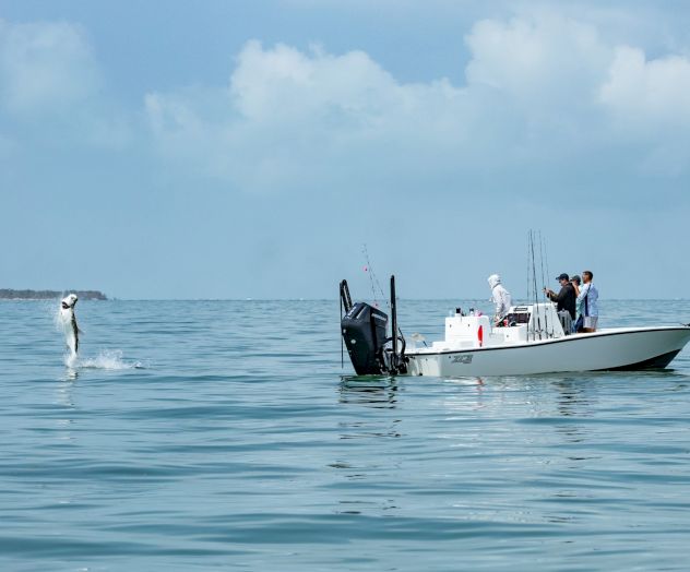 Tarpon Tournament fish jump at South Seas