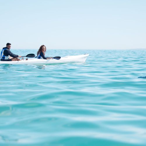 Shot of a young couple spotting a dolphin while kayaking at a lake.