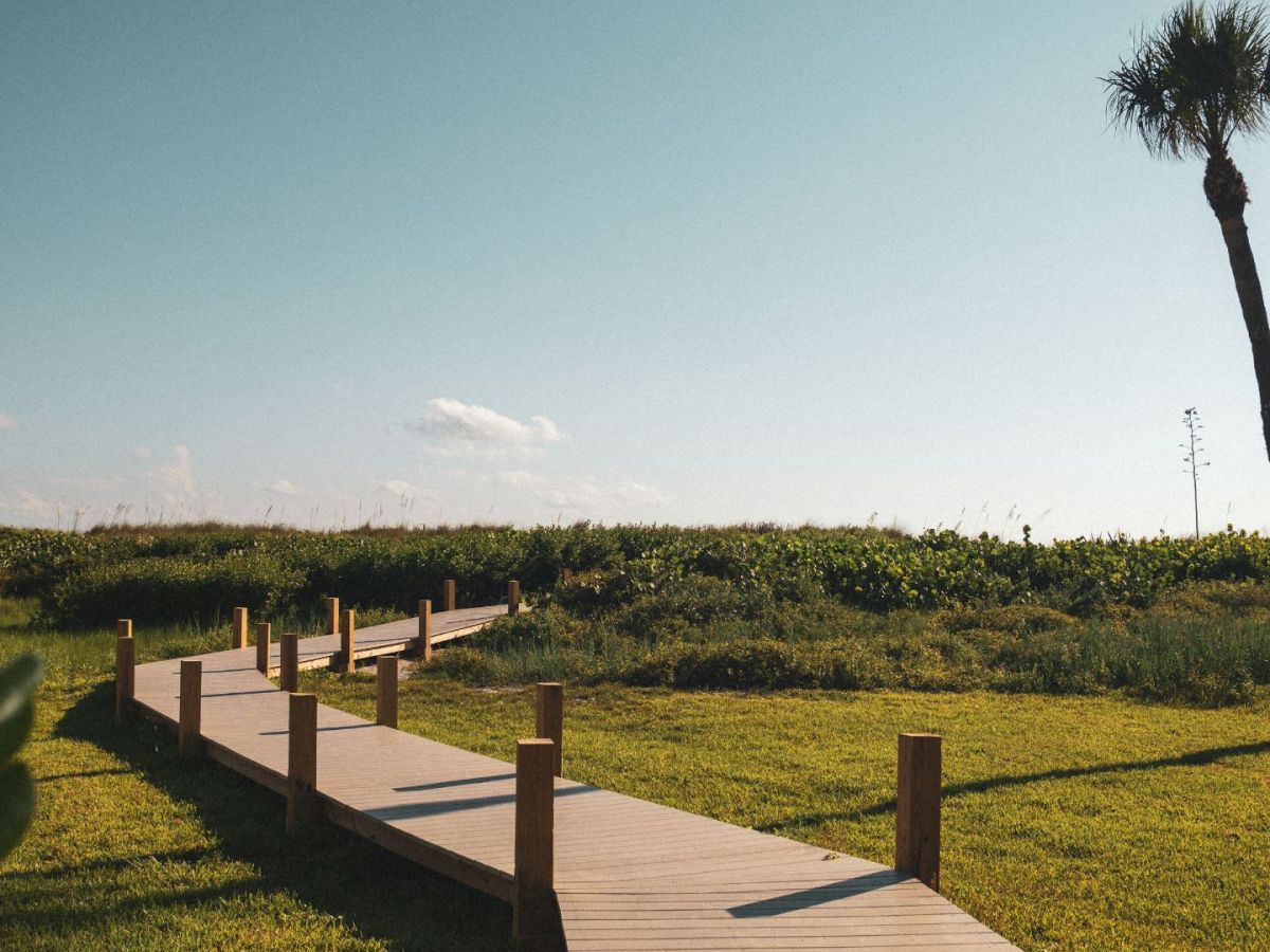 Wooden pathway leading through grassy dunes toward the beach