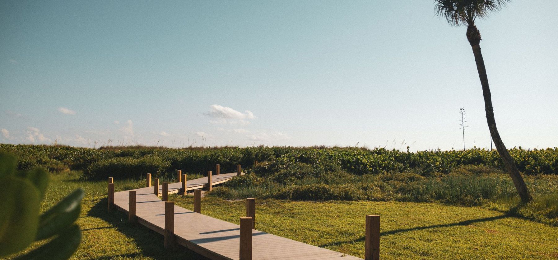 Wooden pathway leading through grassy dunes toward the beach
