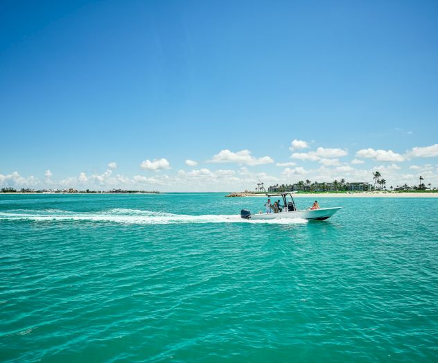 A speedboat cruises across turquoise water toward a tropical palm-lined shore under a bright blue sky.