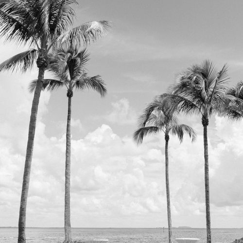 South Seas