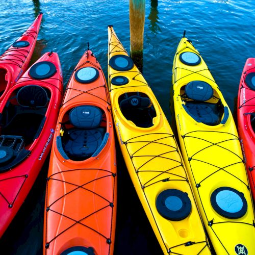 Kayaks of many colors float empty in the water.