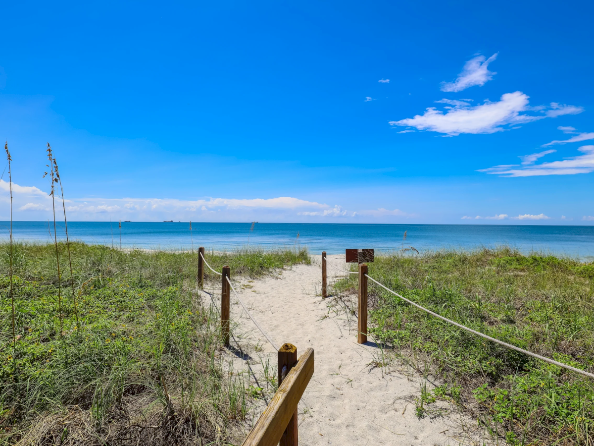 The path from the sand to the sea, and the greenery on the side