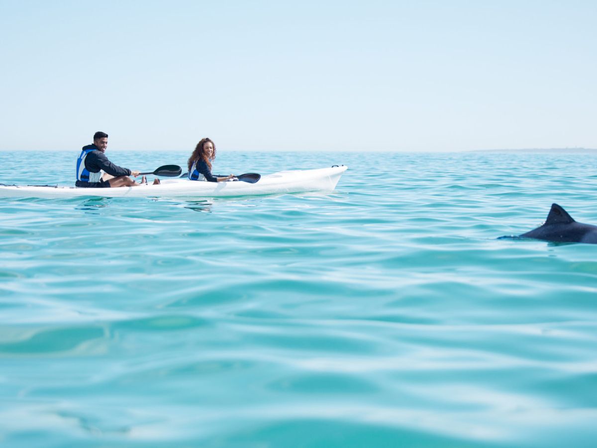 Shot of a young couple spotting a dolphin while kayaking at a lake.