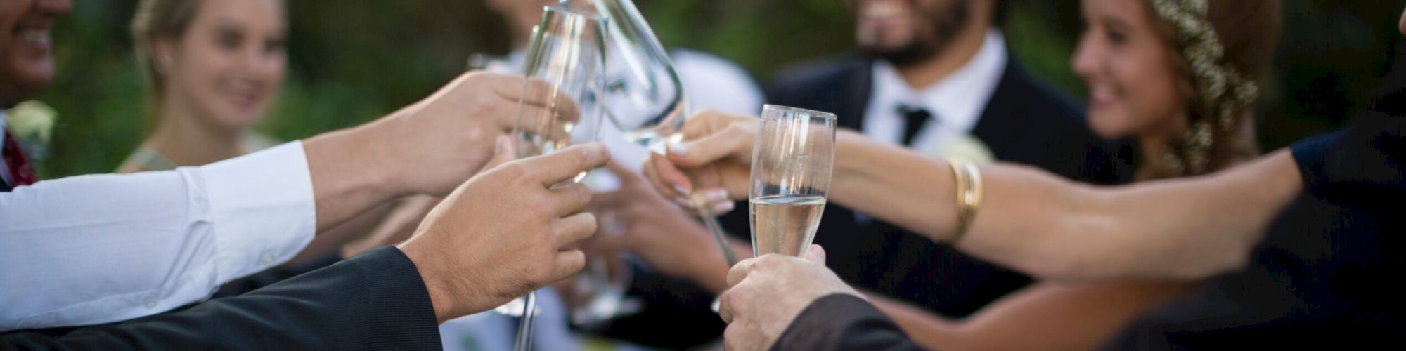 Guests toasting glasses of champagne in park