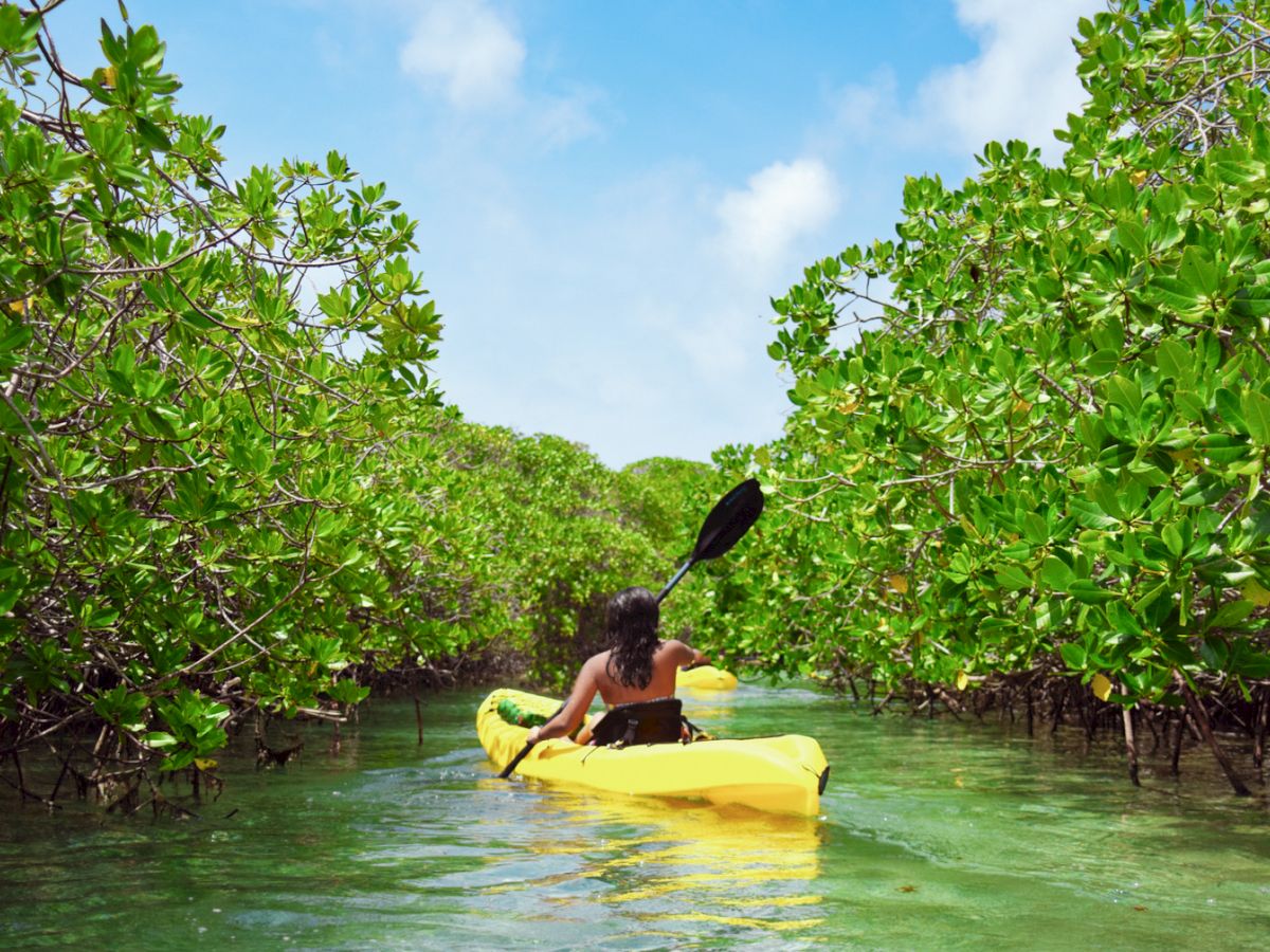 Young woman paddling on kayak among tropical mangrove trees. Relaxing, travel and leisure related images for vacations