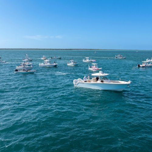 South Seas