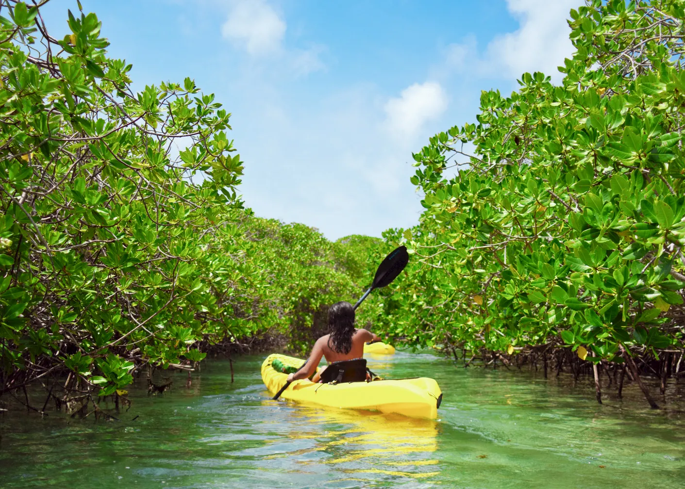 Young woman paddling on kayak among tropical mangrove trees. Relaxing, travel and leisure related images for vacations