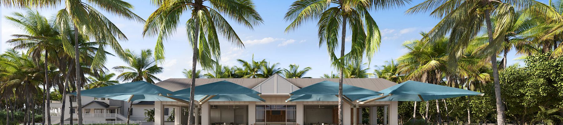 Beachside dining spot with palm trees and umbrellas