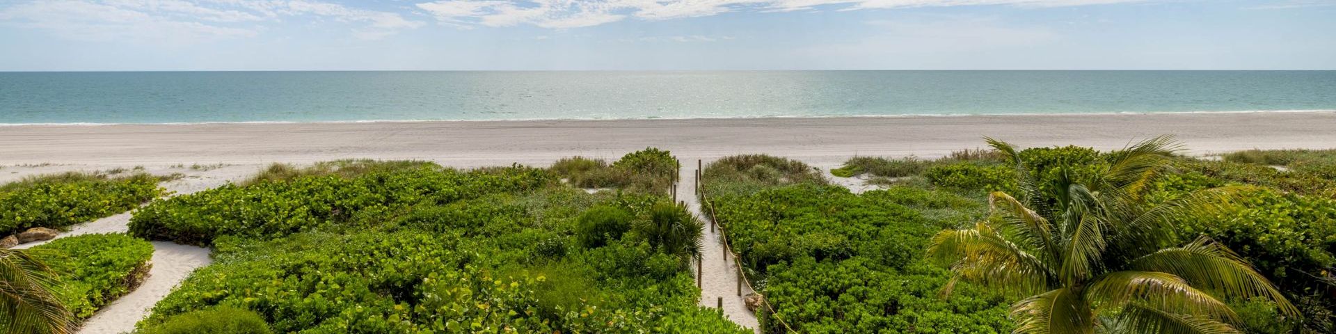 Pathway through greenery leading to the beach at South Seas