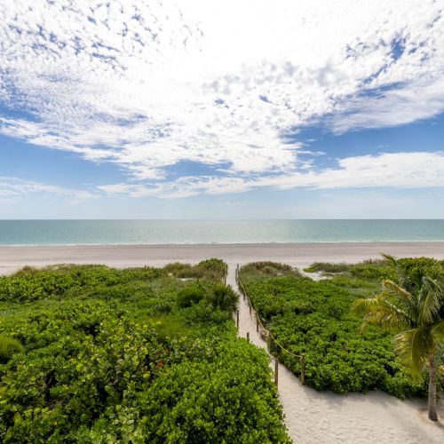 Beach path surrounded by greenery