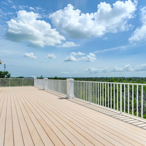 SS Beach Home Schefflera 1114
Commercial