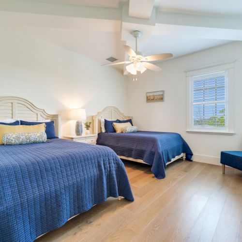 SS Beach Home Schefflera 1114
Commercial