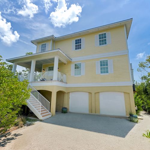 SS Beach Home Schefflera 1114
Commercial