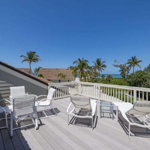 Rooftop deck with lounge chairs and palm tree view