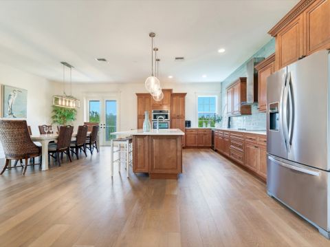 SS Beach Home Schefflera 1114Commercial