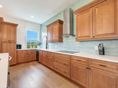 SS Beach Home Schefflera 1114Commercial