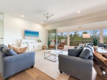 SS Beach Home Schefflera 1114
Commercial
