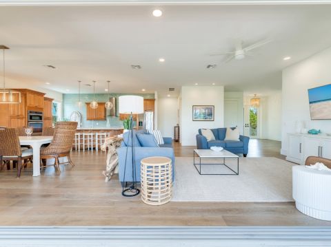 SS Beach Home Schefflera 1114Commercial