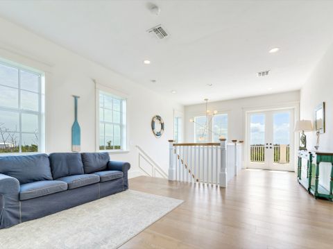 SS Beach Home Schefflera 1114Commercial