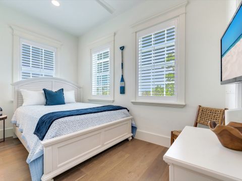 SS Beach Home Schefflera 1114Commercial