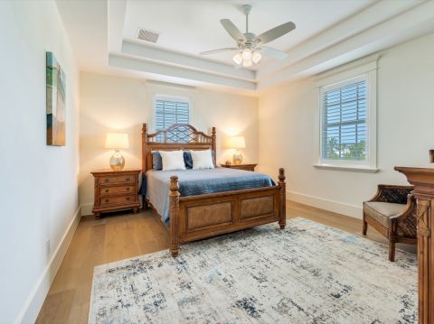 SS Beach Home Schefflera 1114Commercial