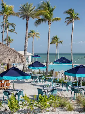 A sunny seaside resort patio with teal umbrellas, palm trees, and ocean views, set for outdoor dining.