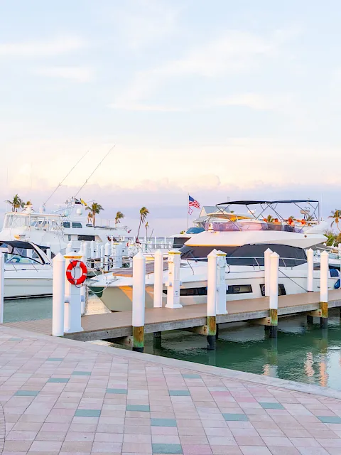 Luxury yachts moored at a tropical marina with palm trees and a calm canal at sunset, plus a dockside walkway.
