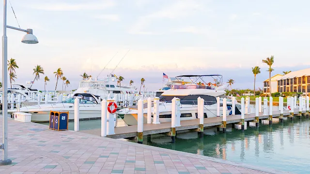 Luxury yachts moored at a tropical marina with palm trees and a calm canal at sunset, plus a dockside walkway.