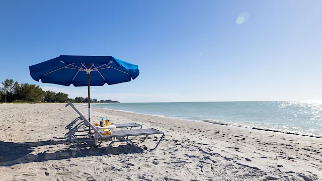 A blue beach umbrella shades lounge chairs with snacks and drinks on a sunny sandy shoreline by the calm ocean.