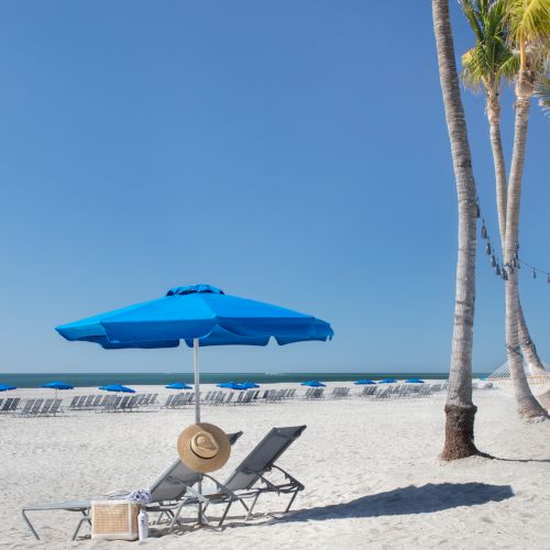 Sunny beach scene with palm trees, blue umbrellas, lounge chairs, and a hammock by the sea under a clear sky.