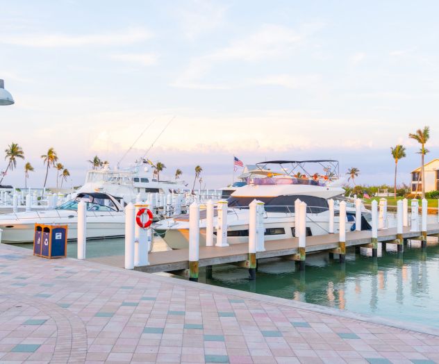 A sunny marina filled with luxury yachts and small boats docked at white piers, with palm trees lining the waterfront.